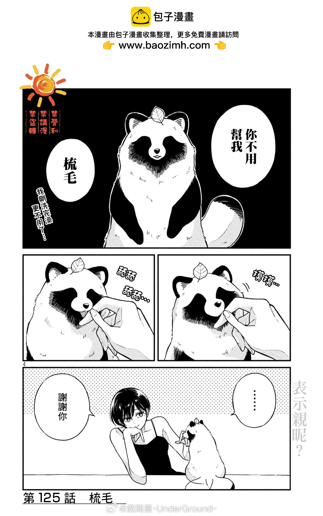 第 4 页