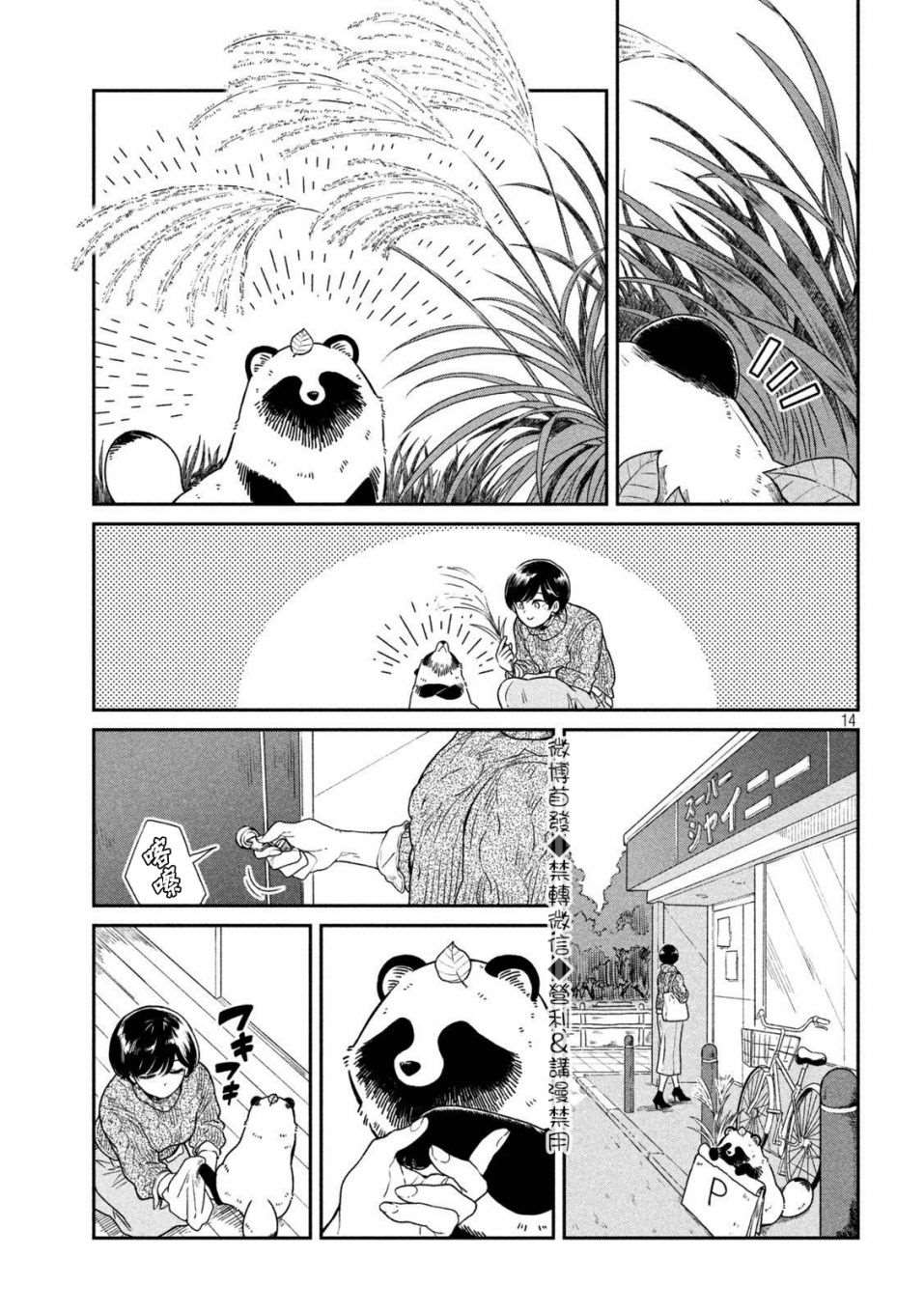 第 13 页
