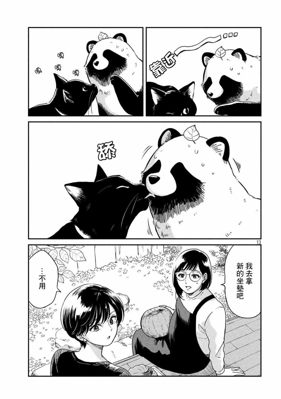 第 13 页