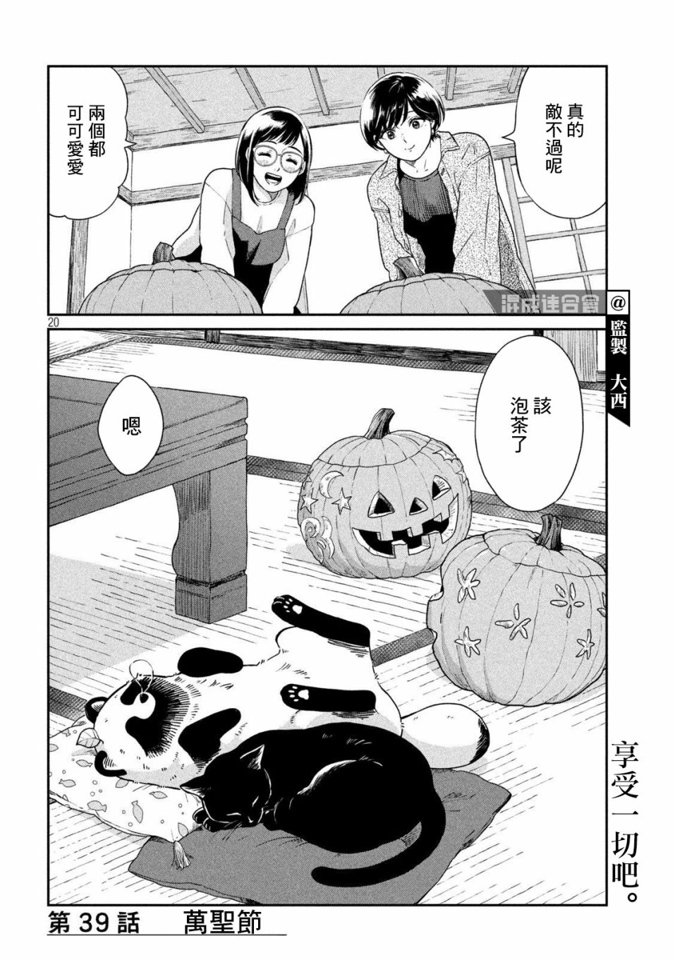 第 20 页
