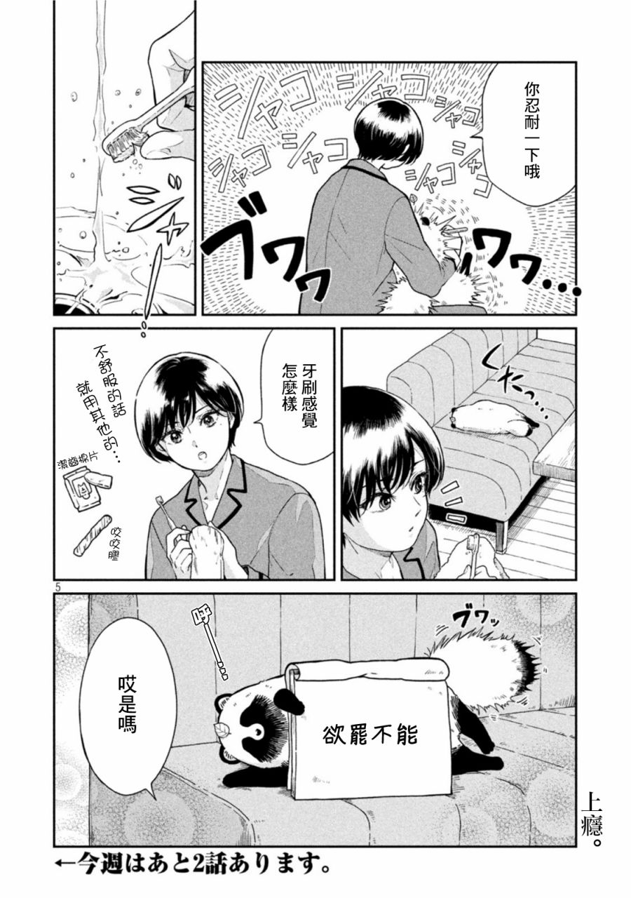 第 5 页