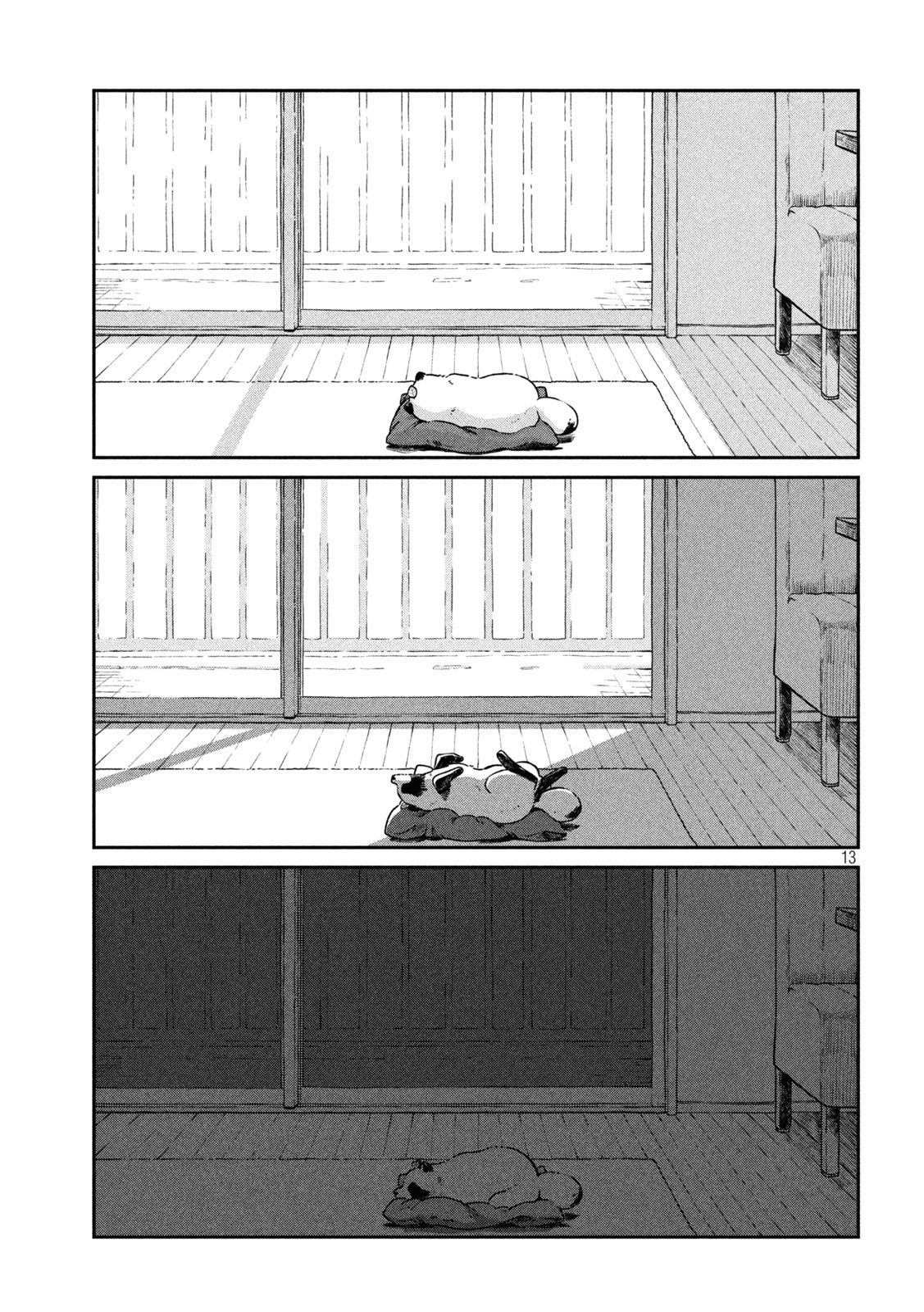 第 13 页