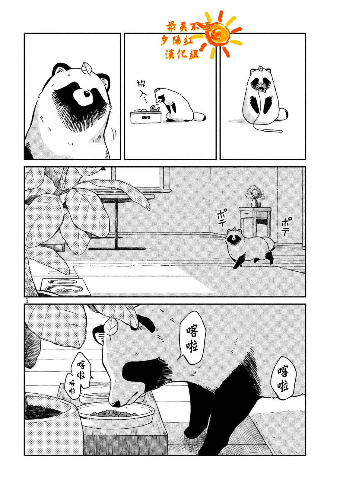 第 6 页