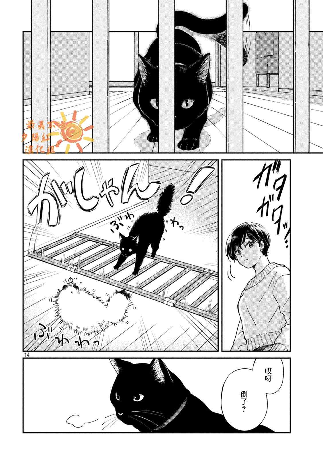 第 14 页