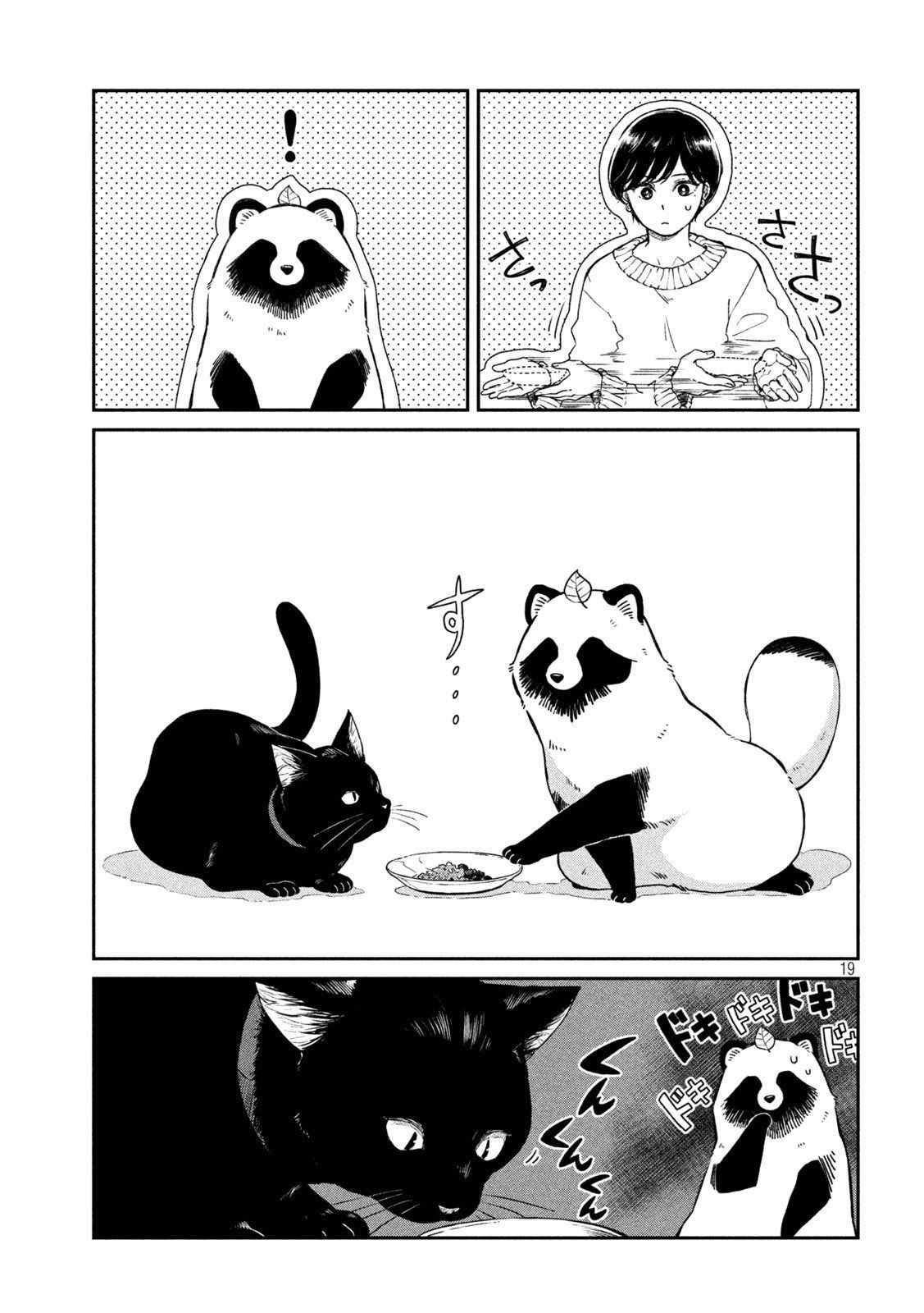 第 19 页