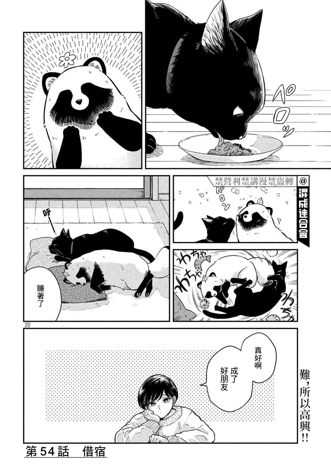 第 20 页
