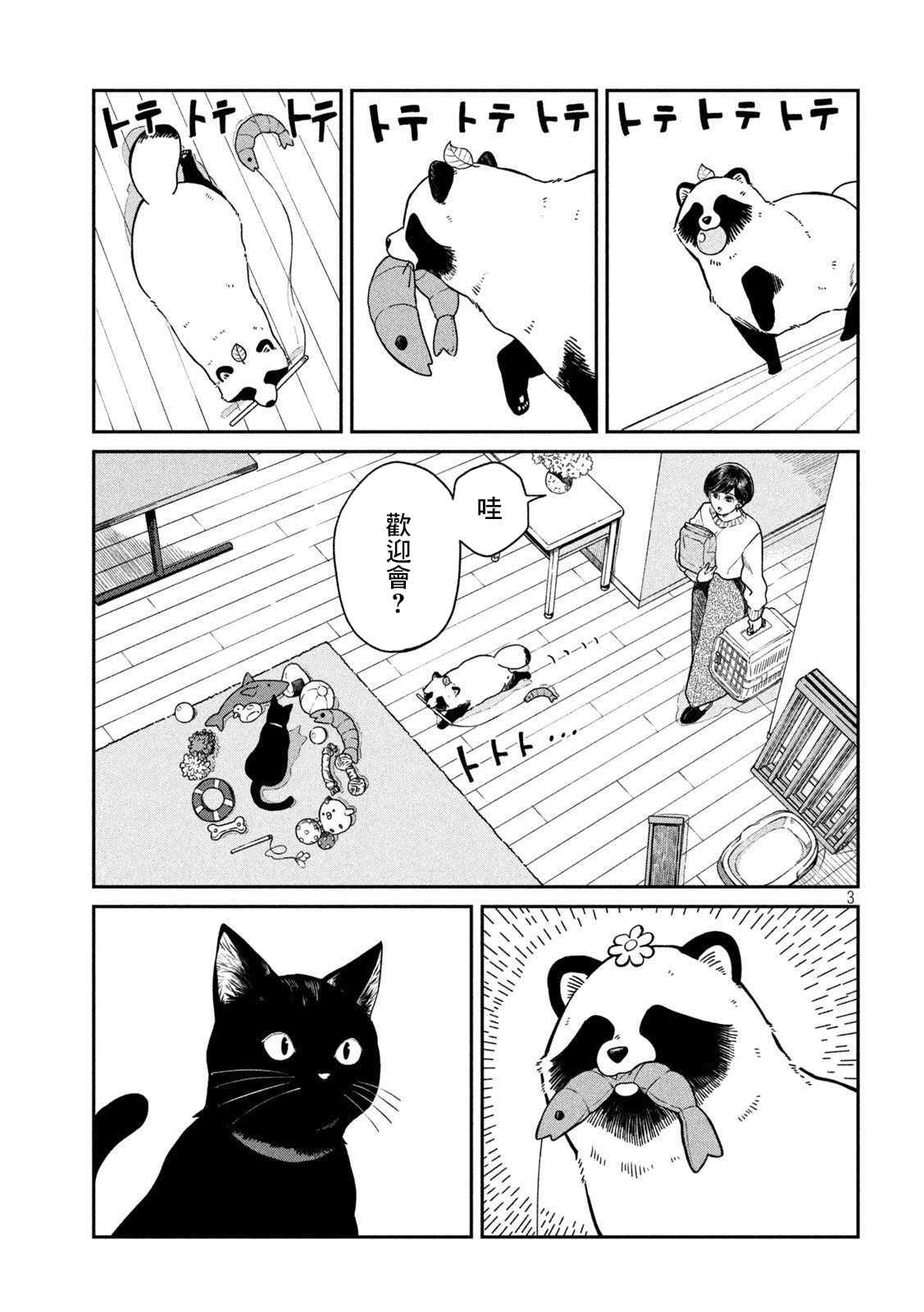 第 3 页