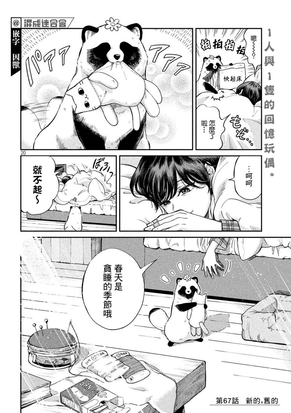 第 20 页