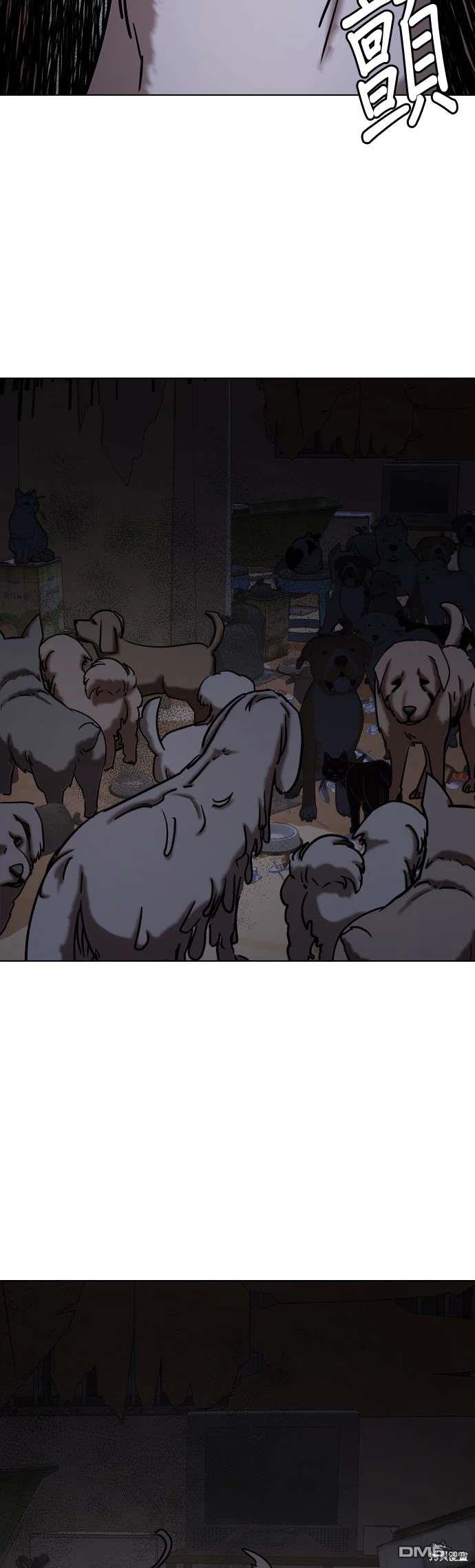 第 49 页