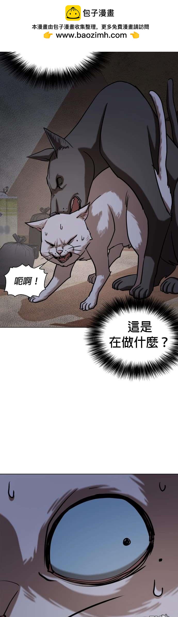 第 39 页