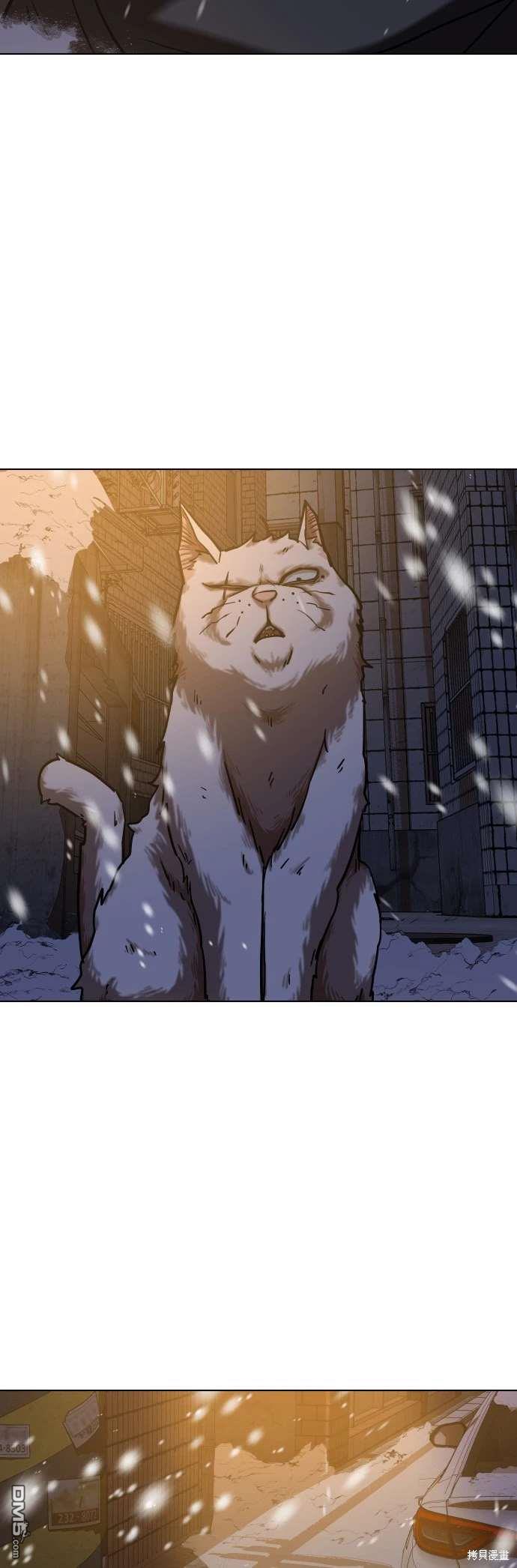 第 51 页