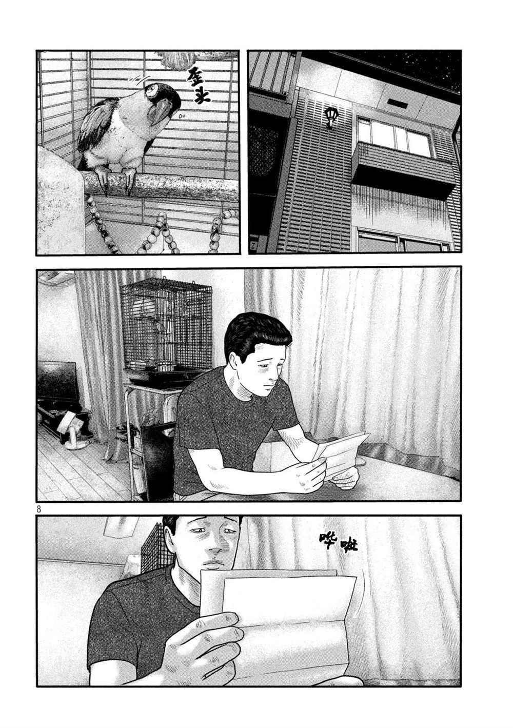 第 8 页