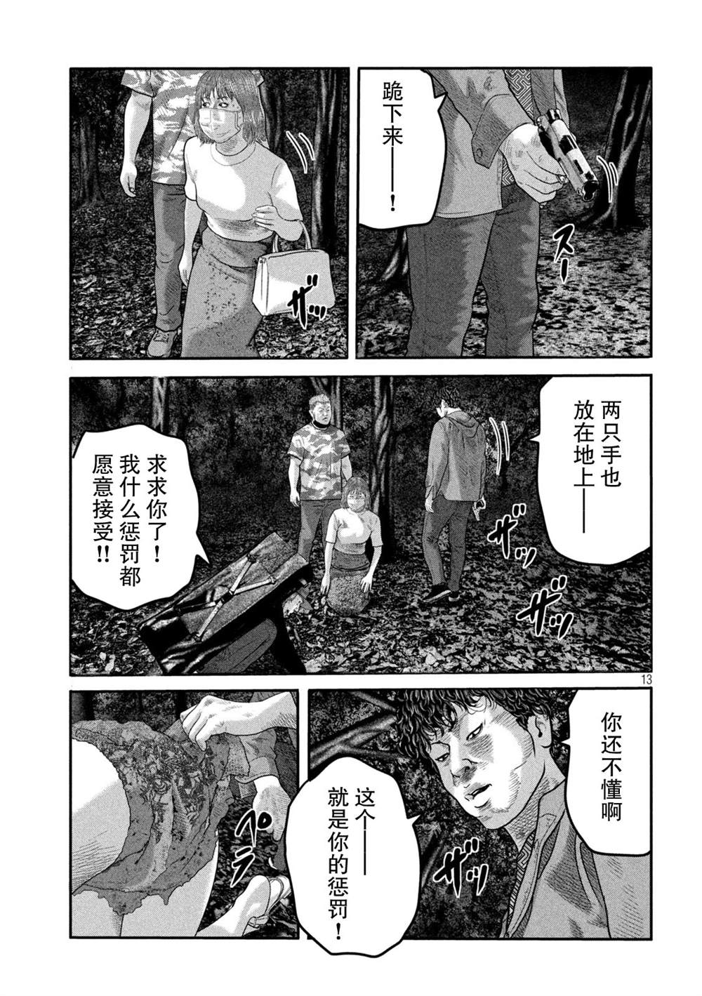 第 13 页