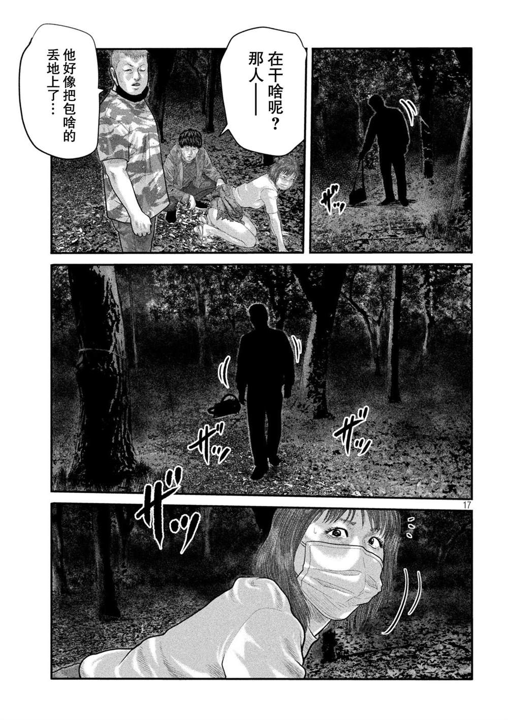 第 17 页