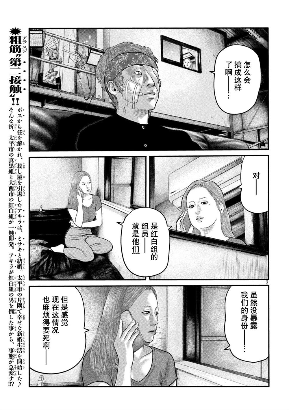 第 3 页