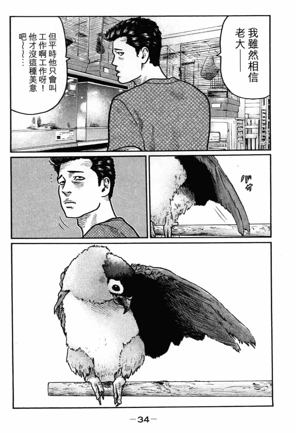 第 37 页