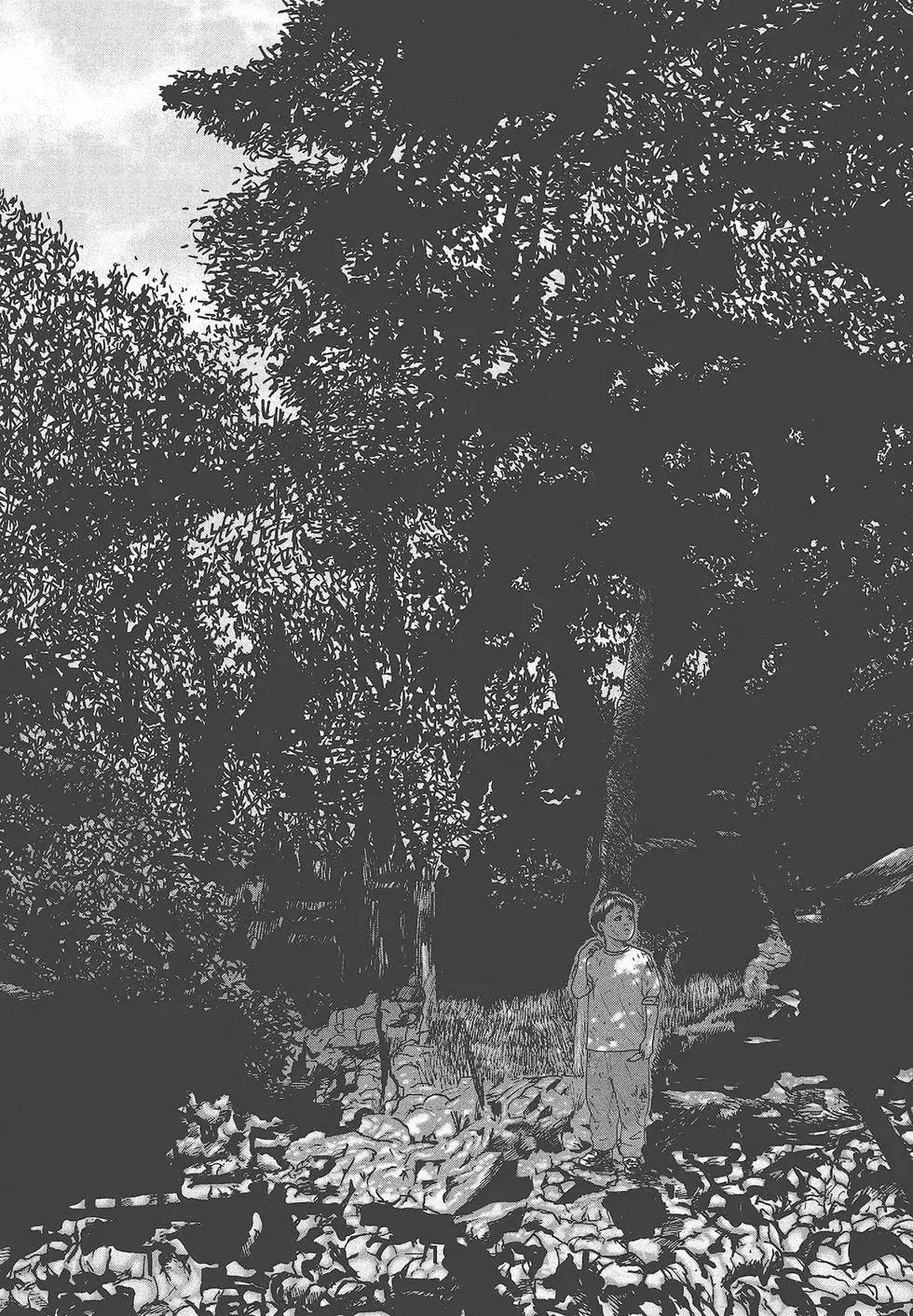 第 196 页