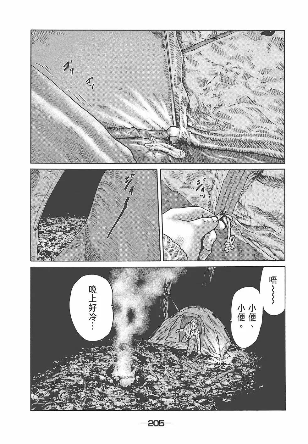 第 207 页