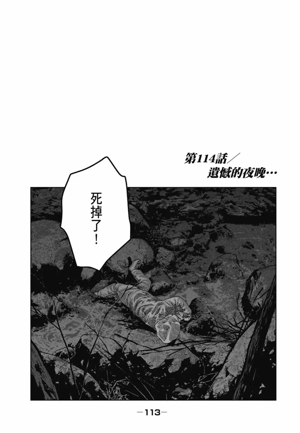 第 113 页