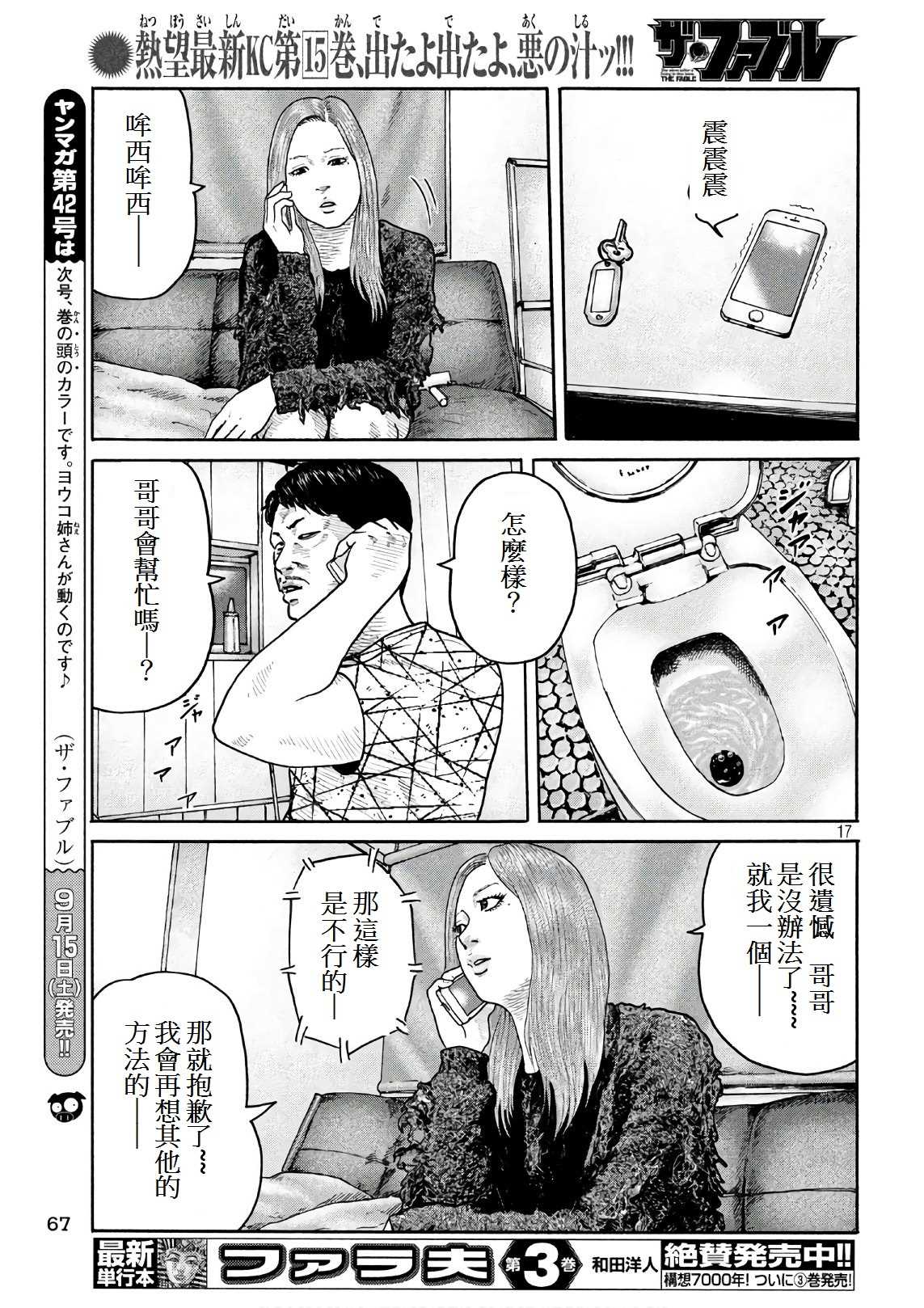 第 17 页