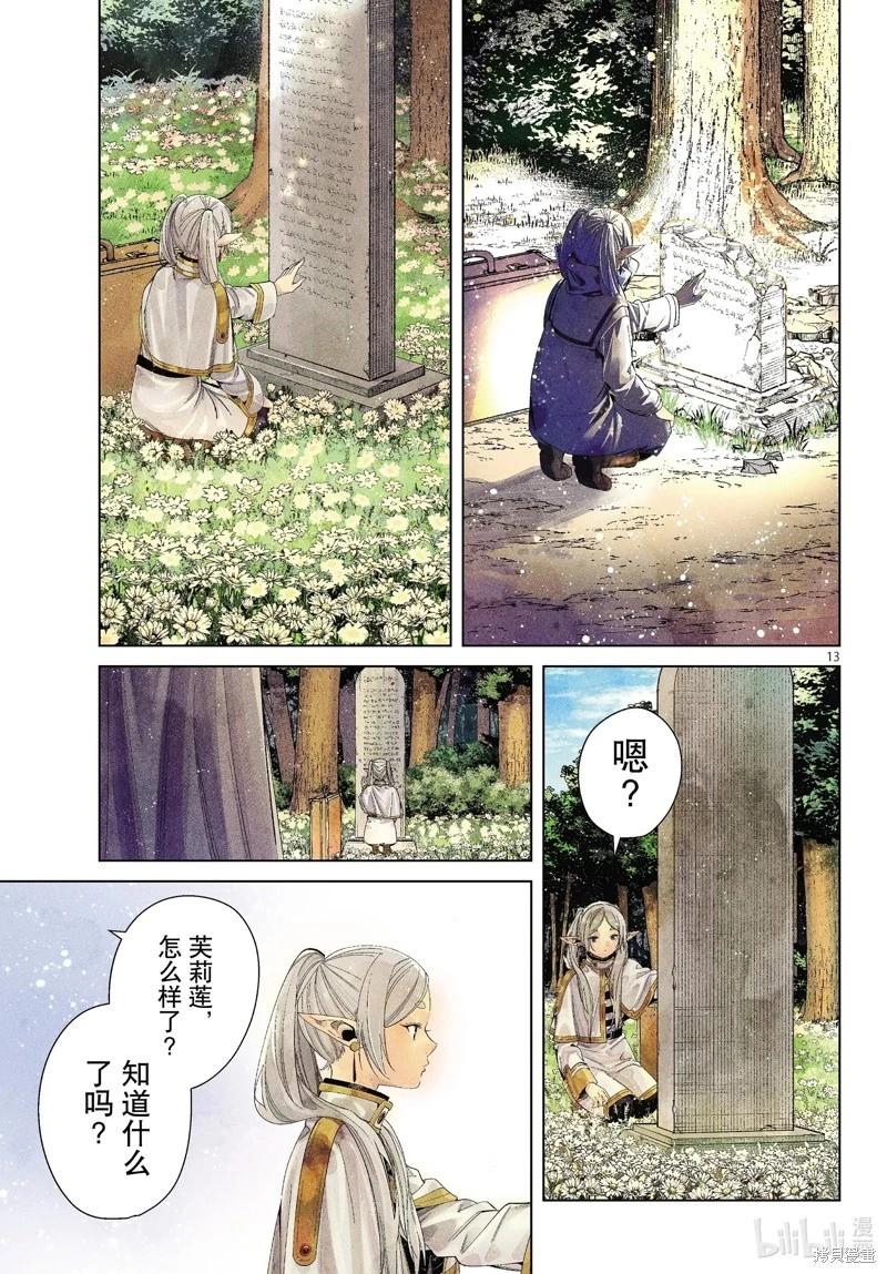 第 13 页