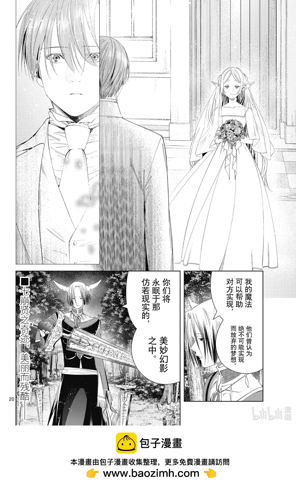 第 20 页