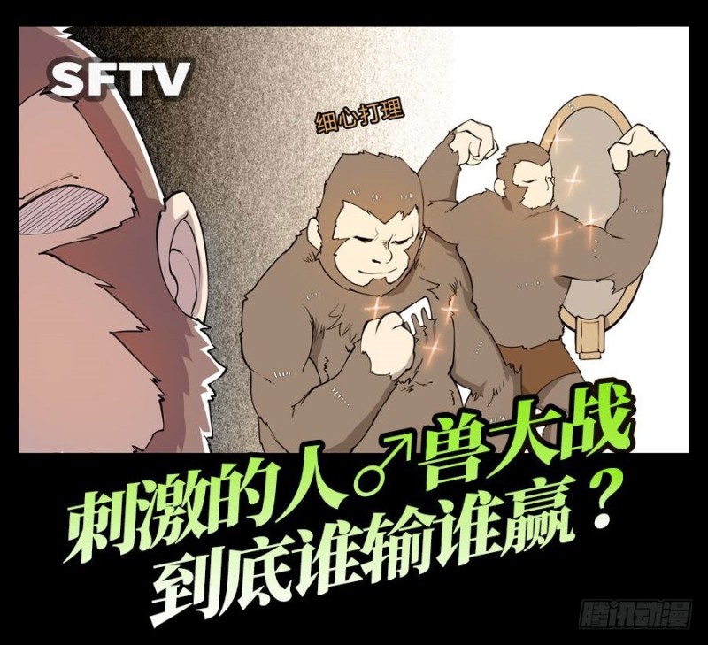 第 55 页