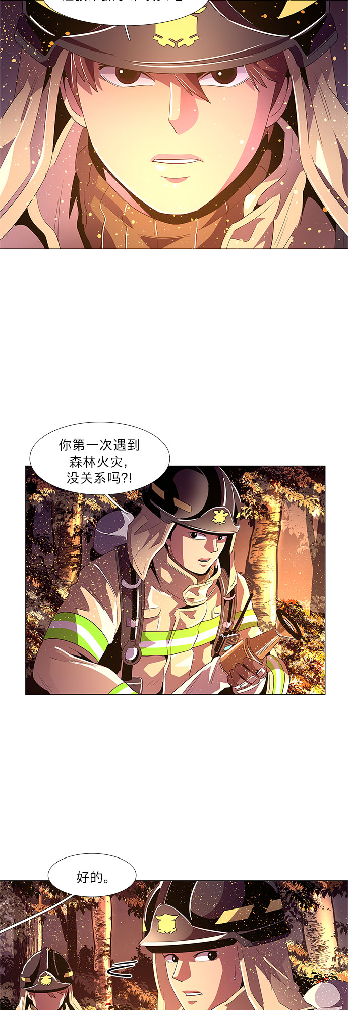 第 41 页