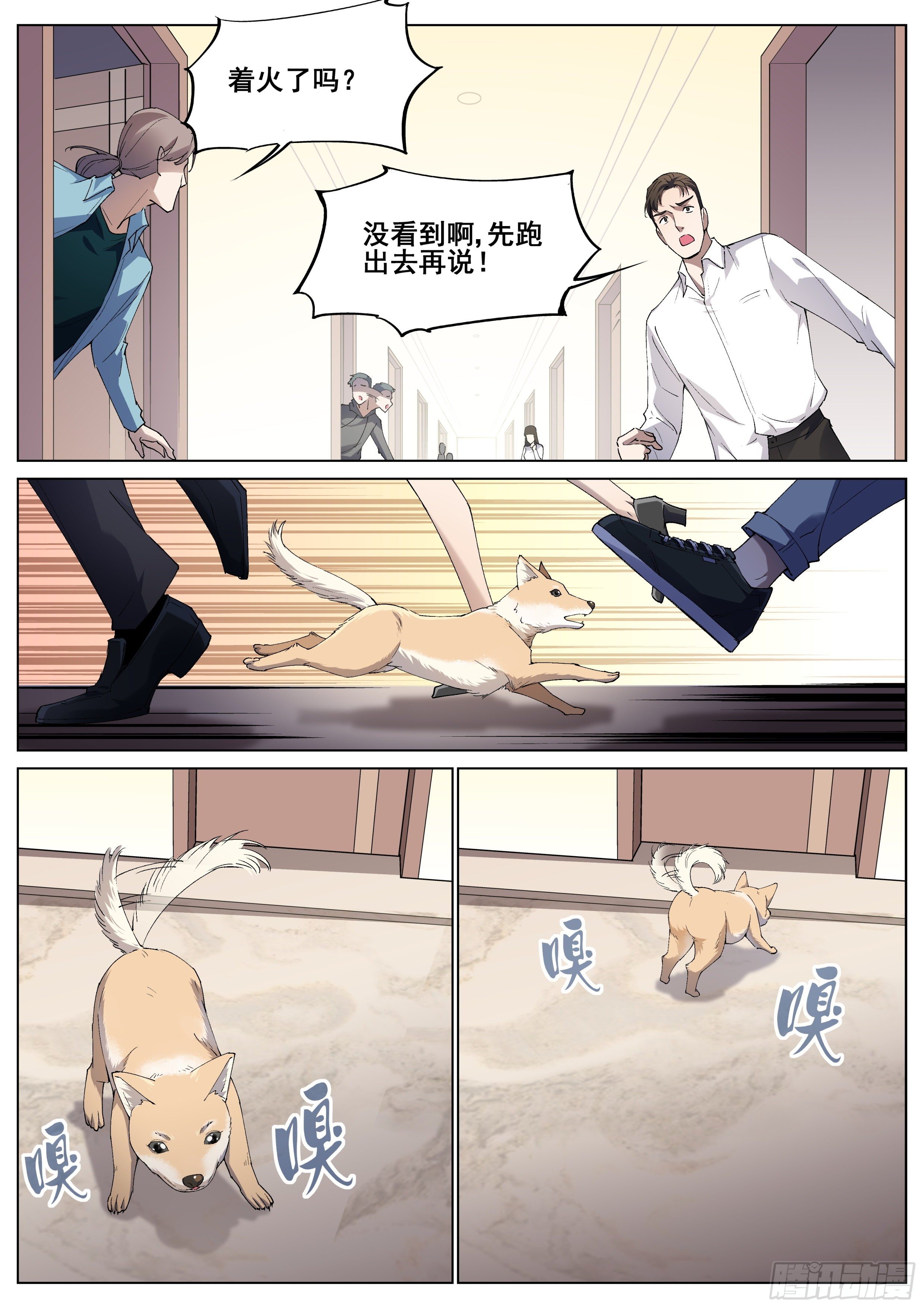 第 17 页