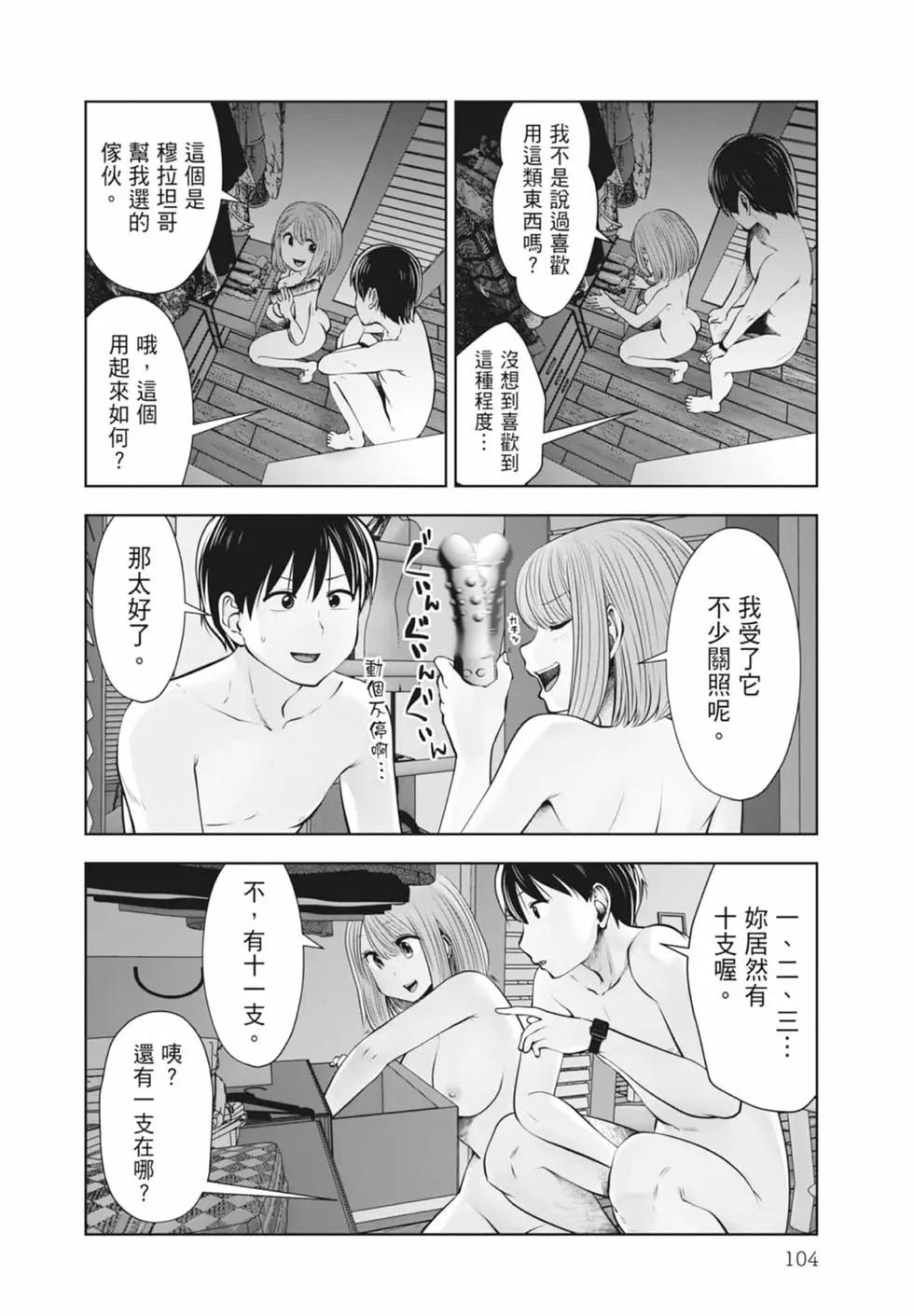 第 106 页