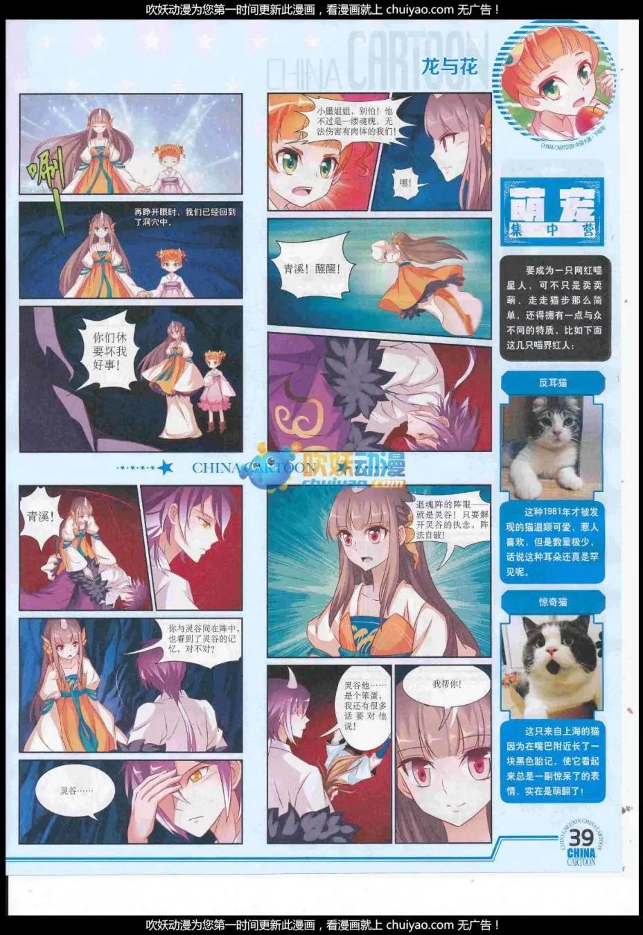第 41 页