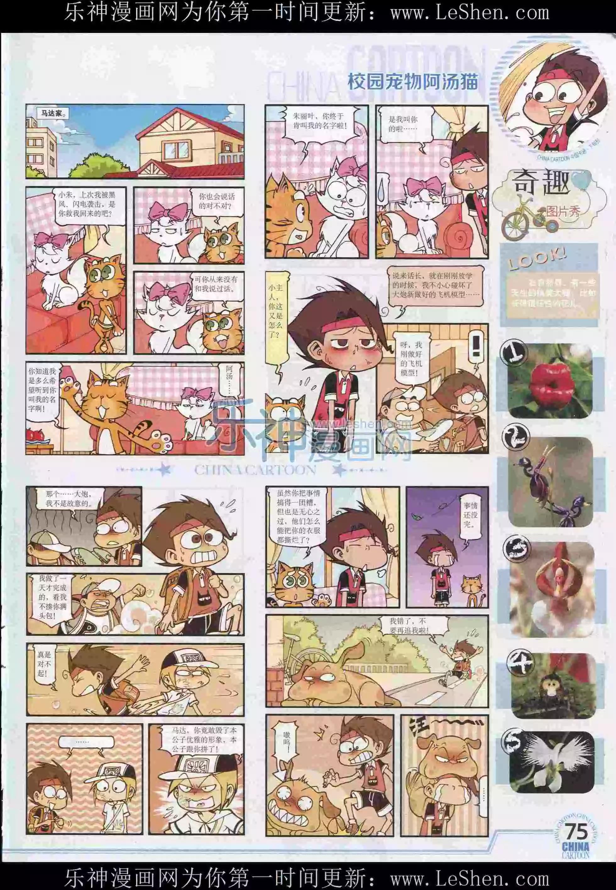第 77 页