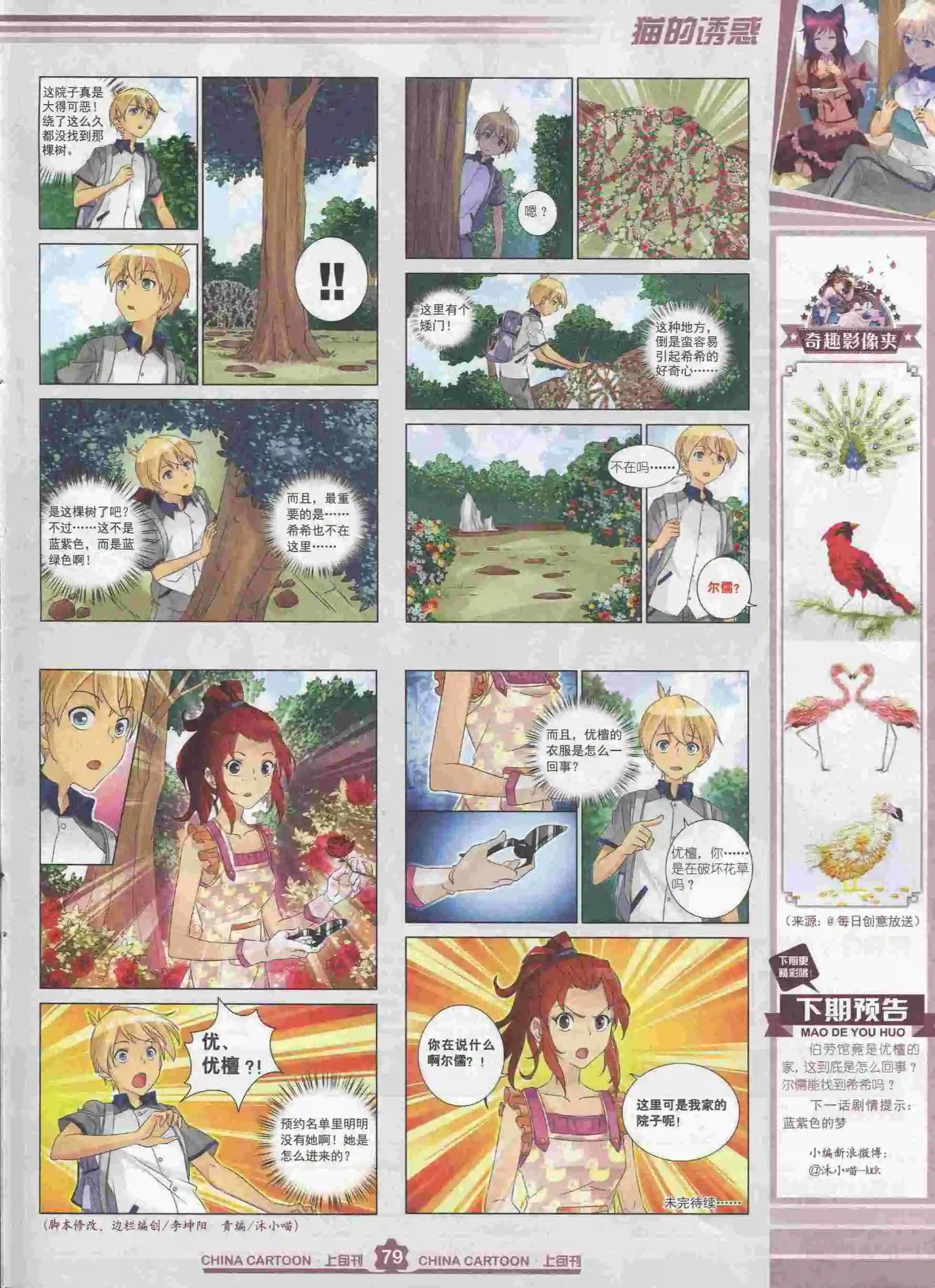 第 81 页