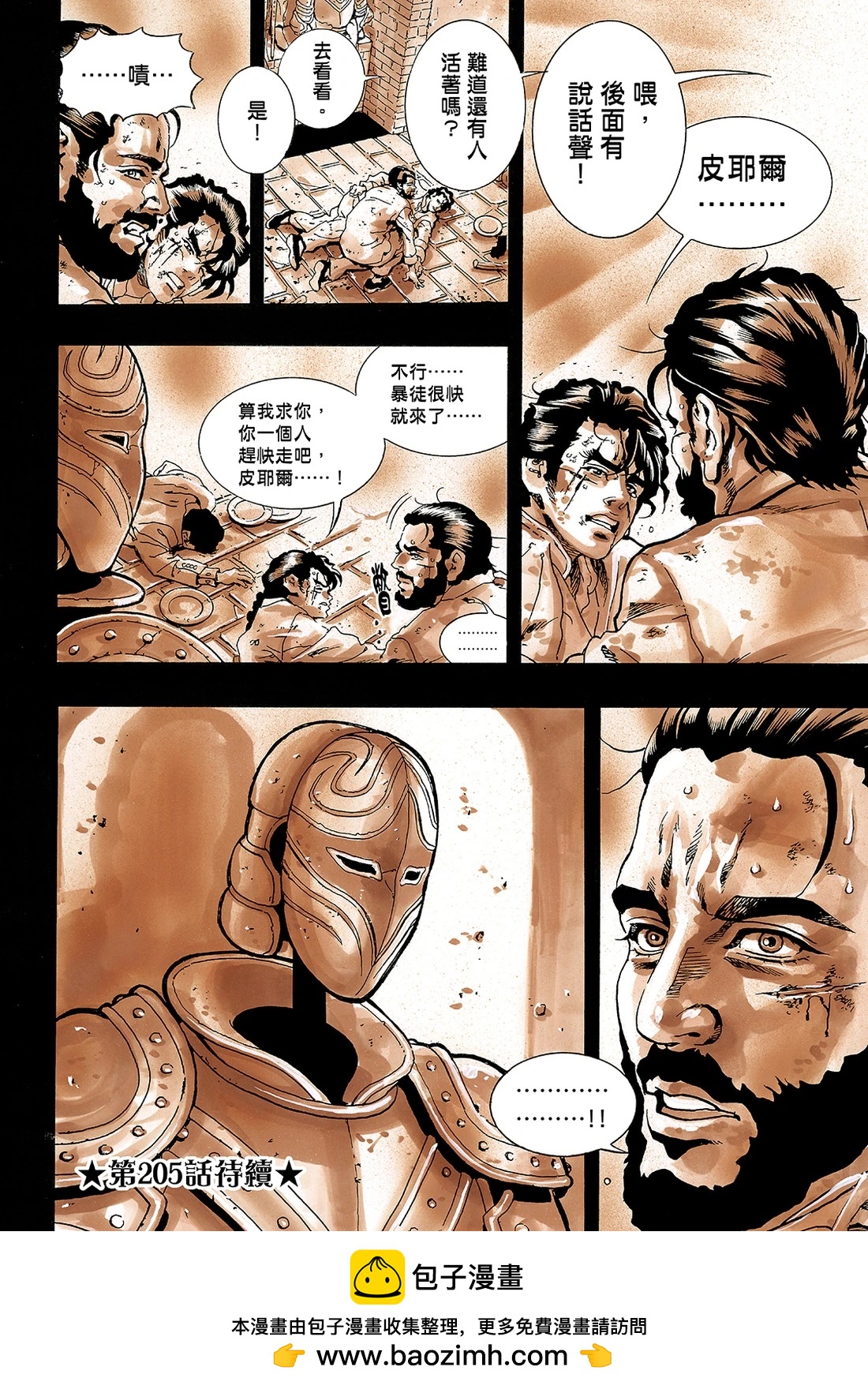 第 20 页