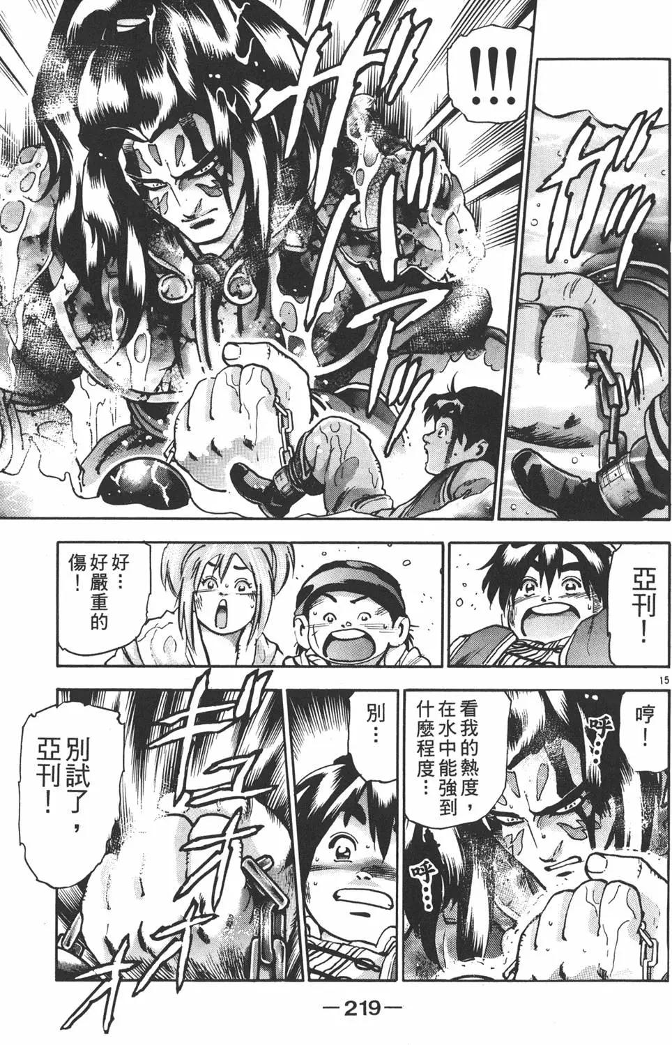 第 221 页