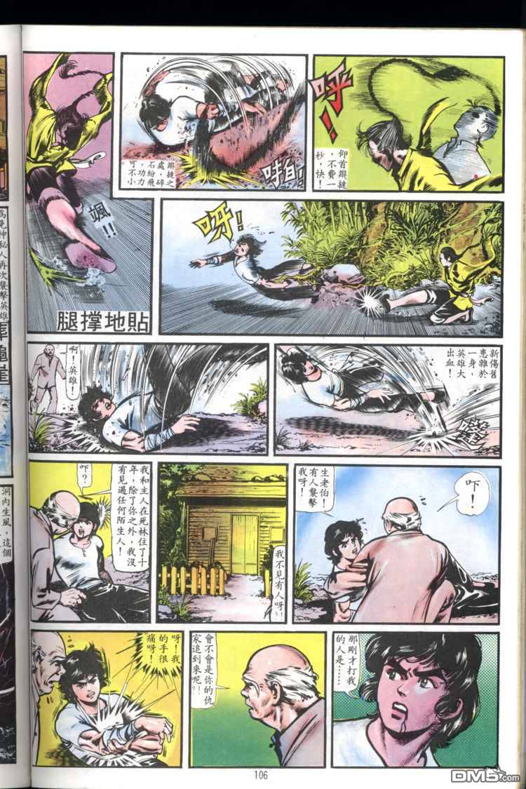 第 106 页