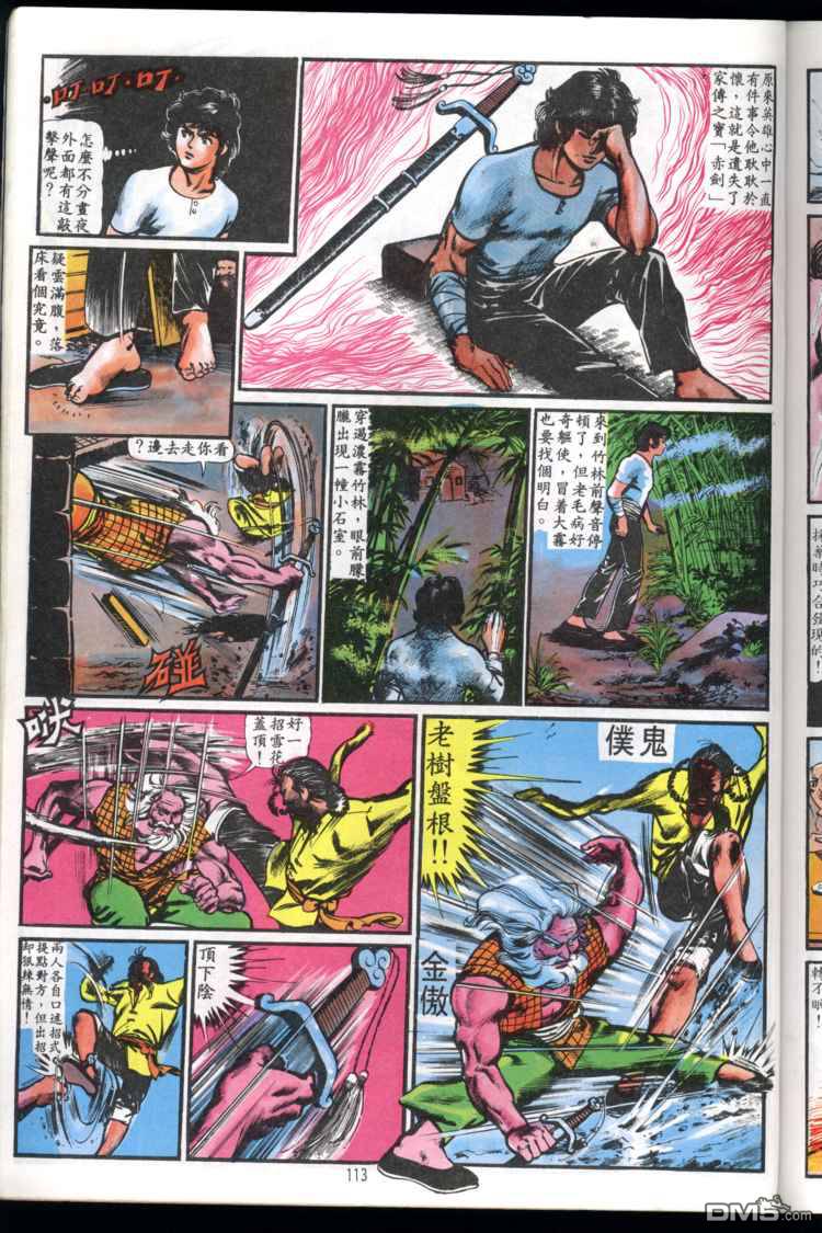 第 113 页