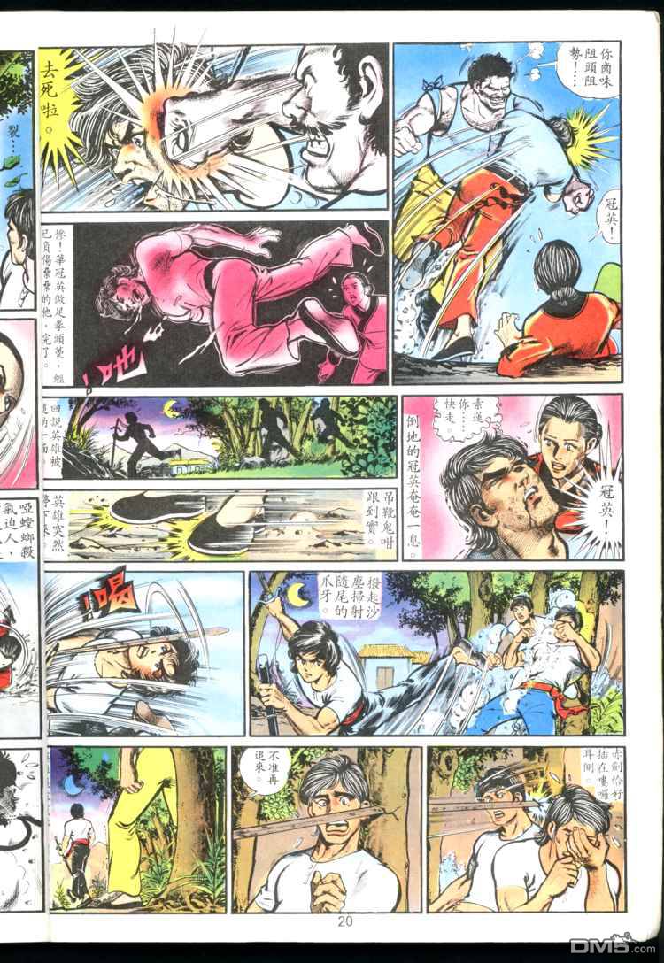 第 20 页