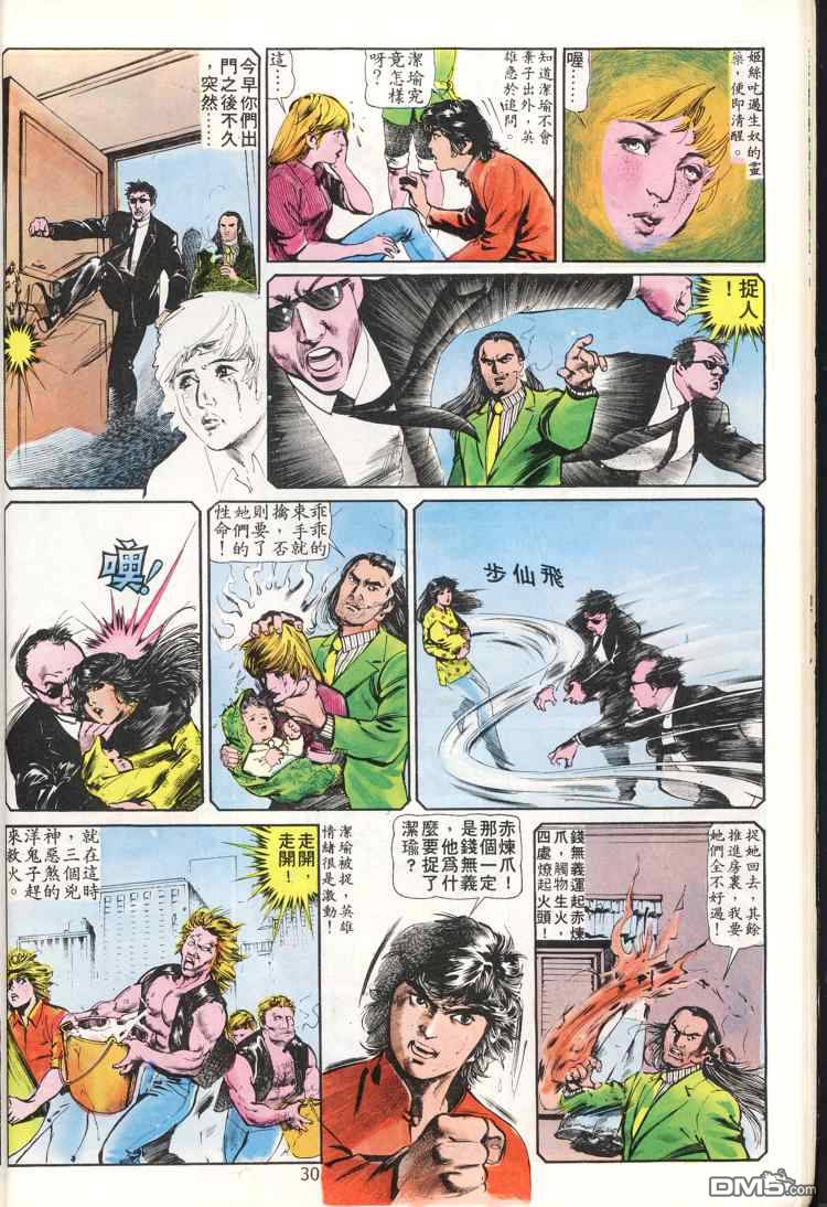 第 30 页