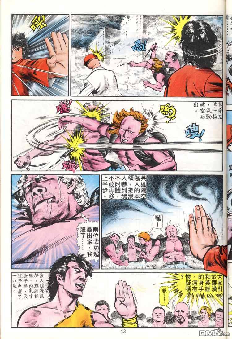 第 43 页