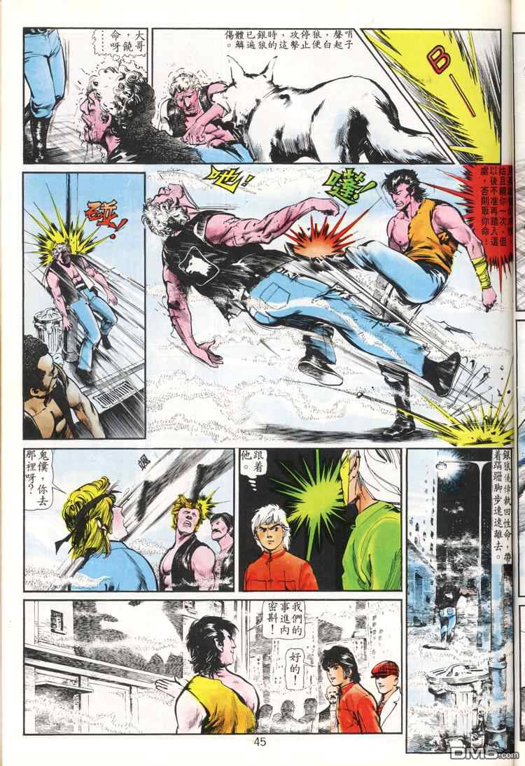 第 45 页