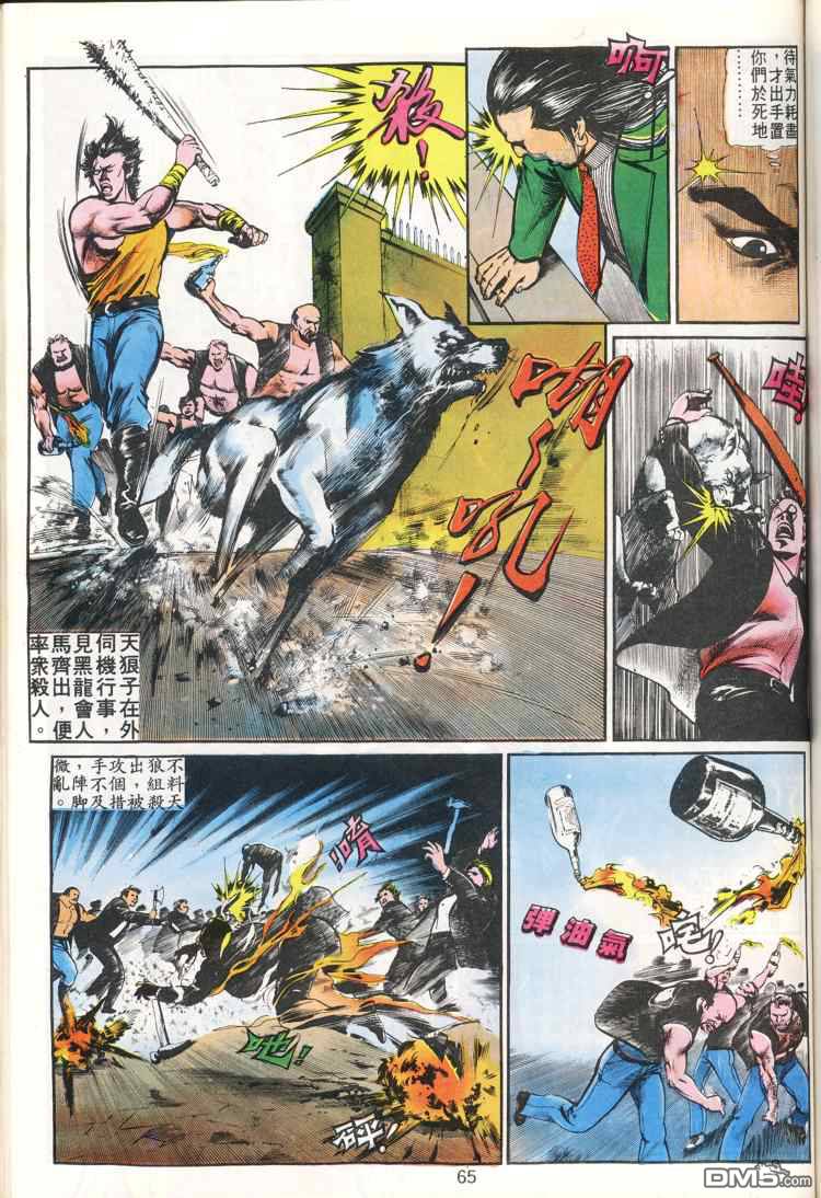 第 65 页