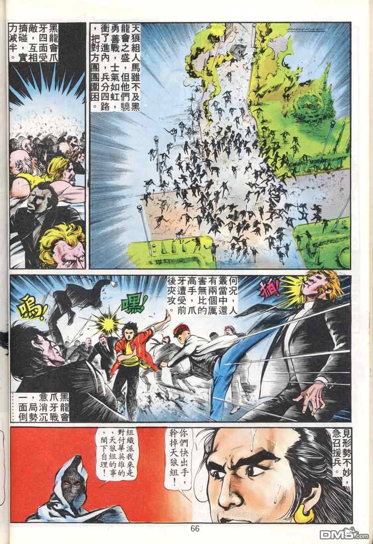 第 66 页