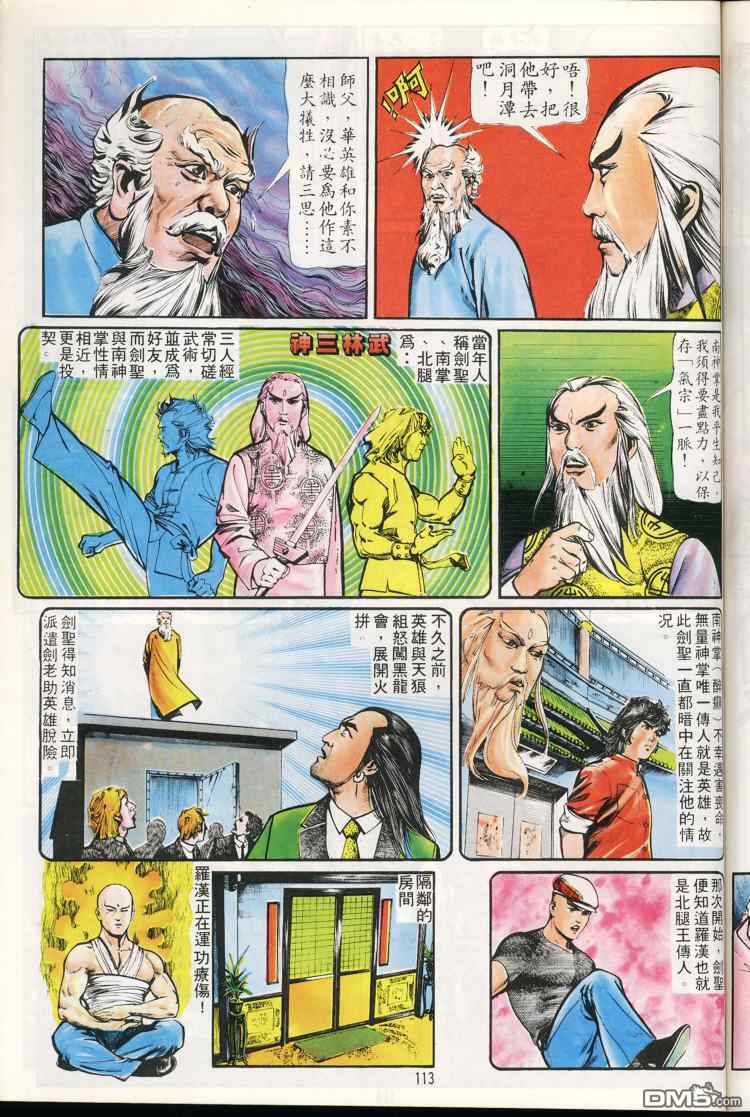 第 113 页