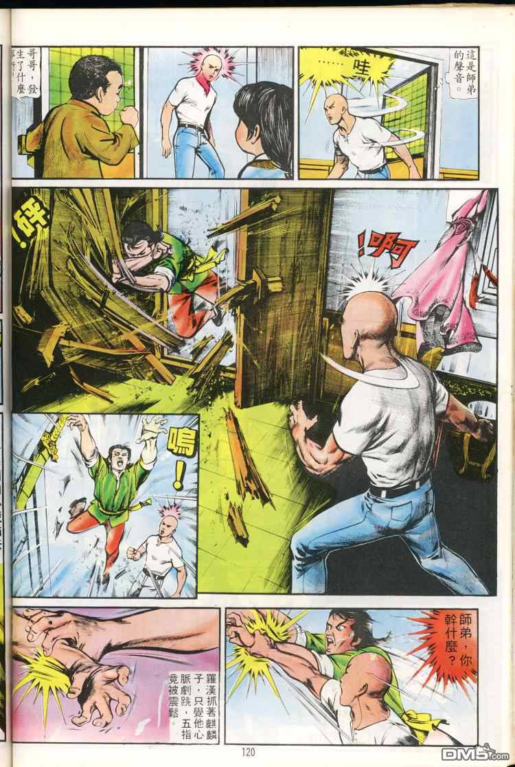 第 120 页