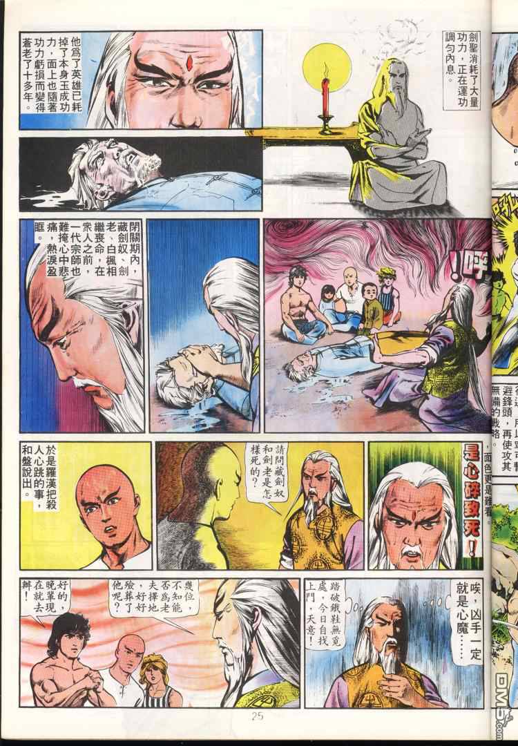 第 25 页