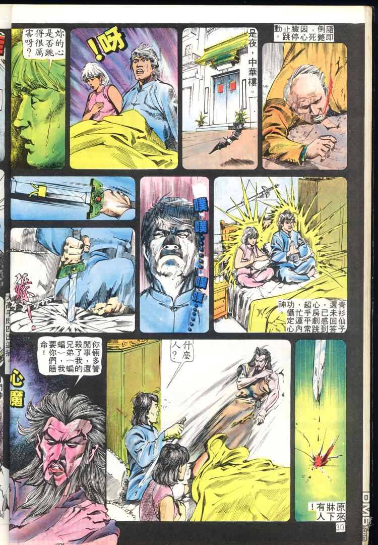 第 30 页