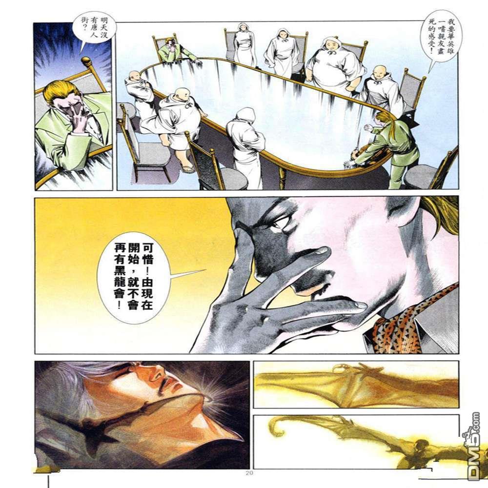 第 20 页