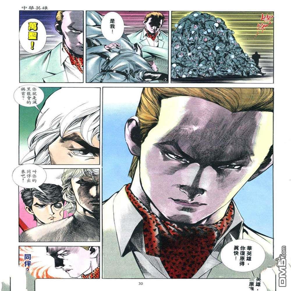 第 30 页