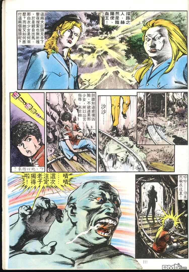 第 111 页